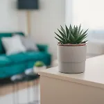 Bp Serviced Apartament