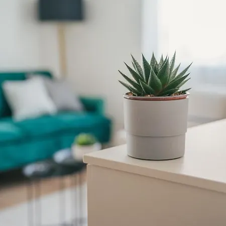 Bp Serviced Lejlighed